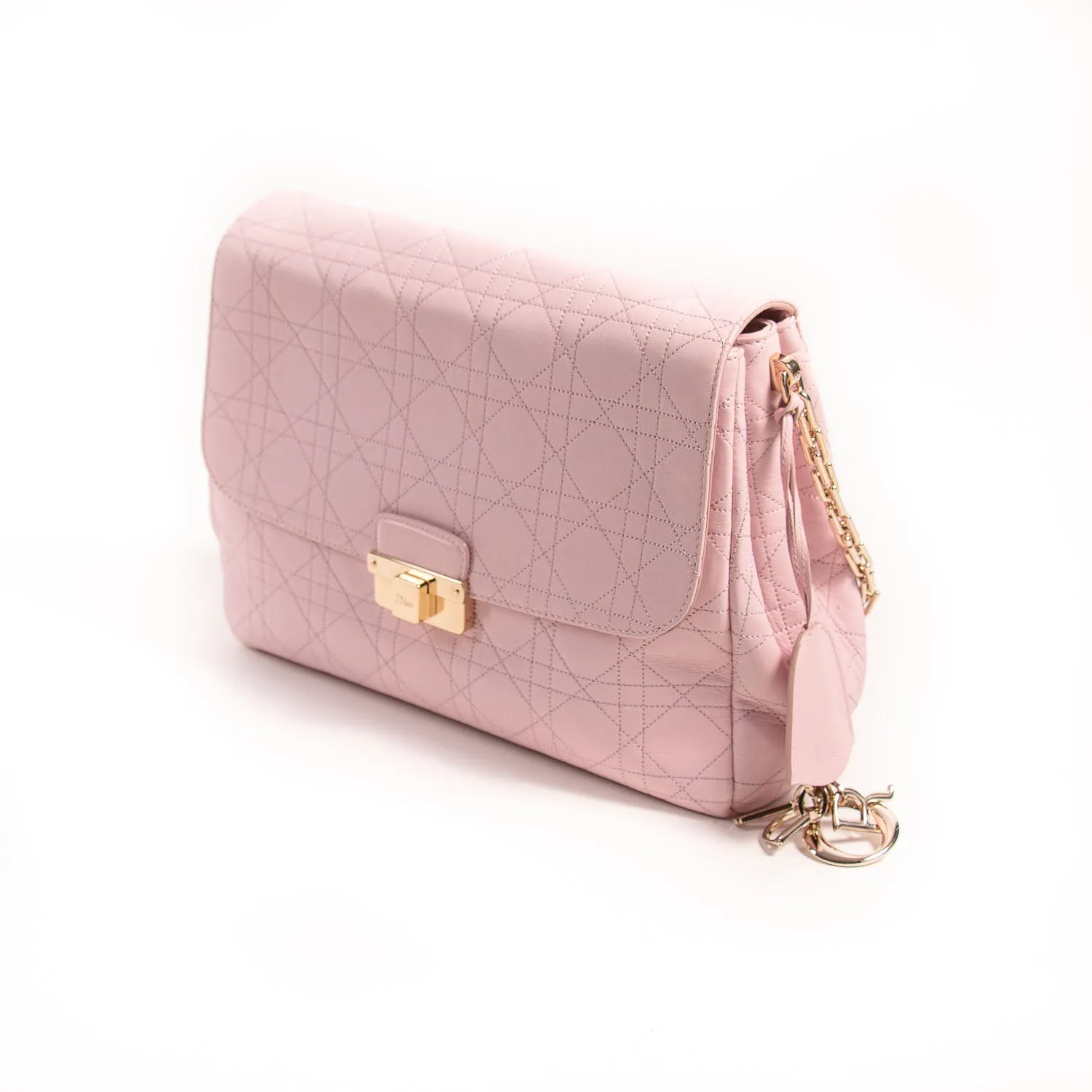 Christian Dior Large Diorling Bag