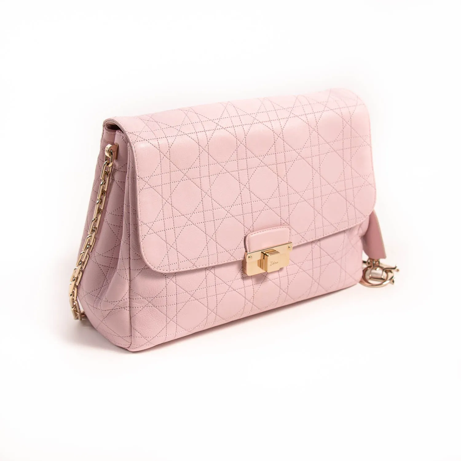 Christian Dior Large Diorling Bag